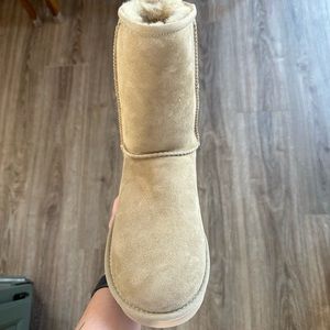 *BRAND NEW* UGG AUSTRALIA Women’s Classic Short Mustard Seed